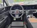 Hongqi E-HS9 President 6-Sitzer 99kWh Luftfahrwerk Grau - thumbnail 10