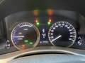 Lexus GS 300 300h Hybrid Drive 223cv Сірий - thumbnail 12