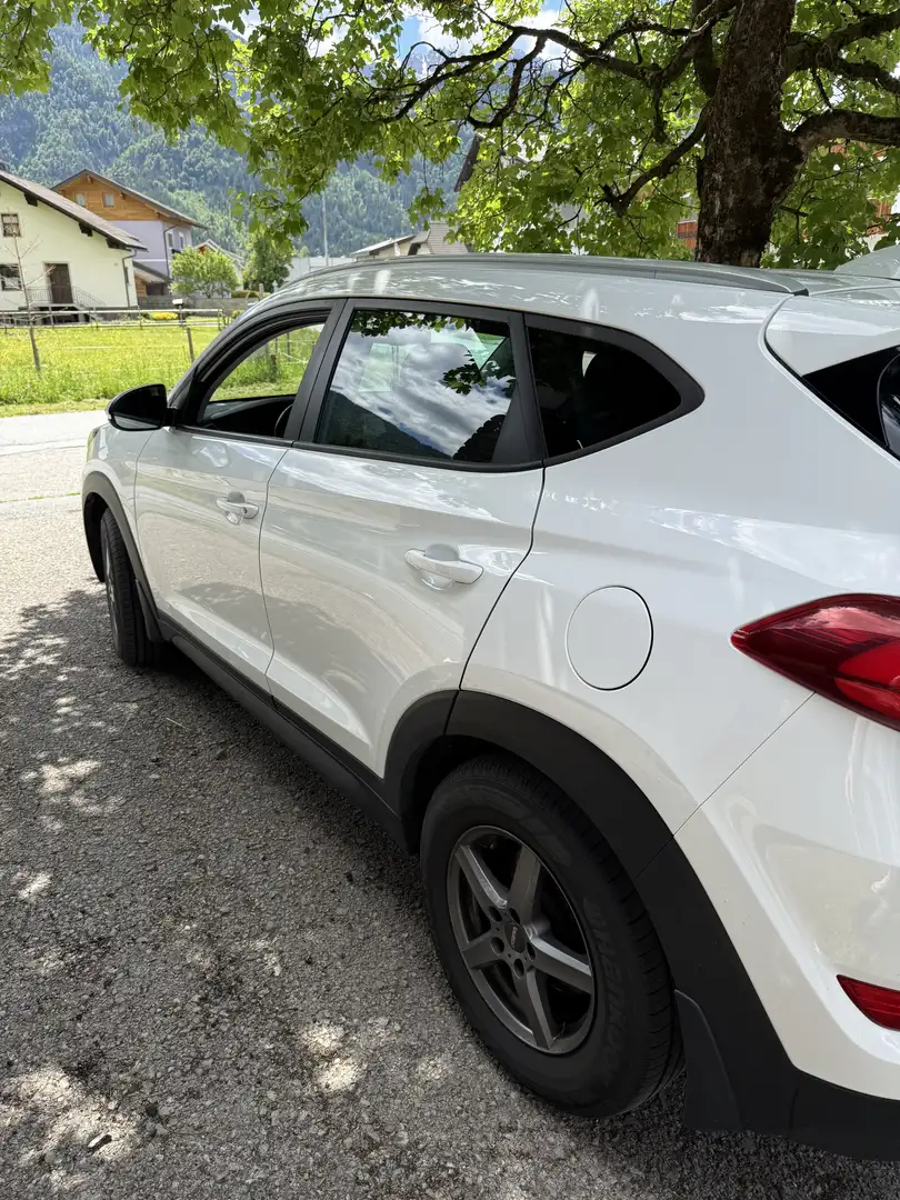 Hyundai TUCSON 2,0 CRDI 4WD Go Aut. Weiß - 2