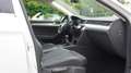 Volkswagen Passat Variant 1.5 TSI Highline R-Line LED ACC Blanc - thumbnail 12