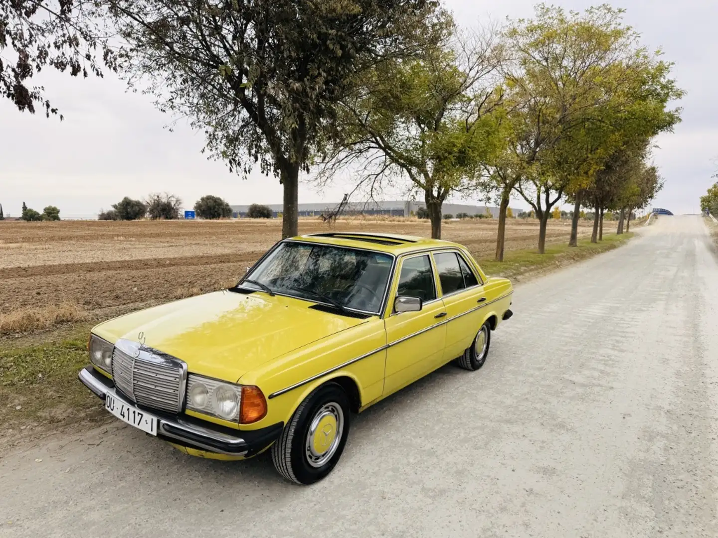 Mercedes-Benz 240 D (123) Geel - 1