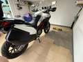 Ducati Multistrada 950 Multistrada 950 S GP WHITE Bianco - thumbnail 6