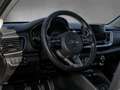 Kia Stonic 1.0 T-GDI GT Line FLA SpurH SpurW LM KAM Grau - thumbnail 9