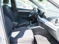 SEAT Arona FR 1.0 TSI+LED+Infotain+Kessy+Kamera Blanc - thumbnail 7