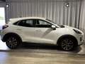 Ford Puma 1.0 EcoBoost Hybrid Titanium | Massagestoelen | NA Blanc - thumbnail 12