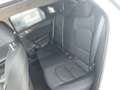 Kia Ceed / cee'd 1.4 TGDI Silber DCT Wit - thumbnail 10