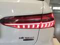 Audi A6 allroad A6 allroad 40 TDI 2.0 quattro S tronic Business A Blanco - thumbnail 19