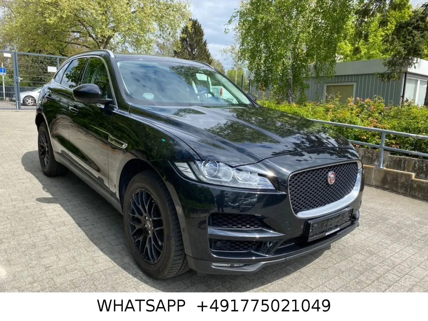 jaguar f-pace