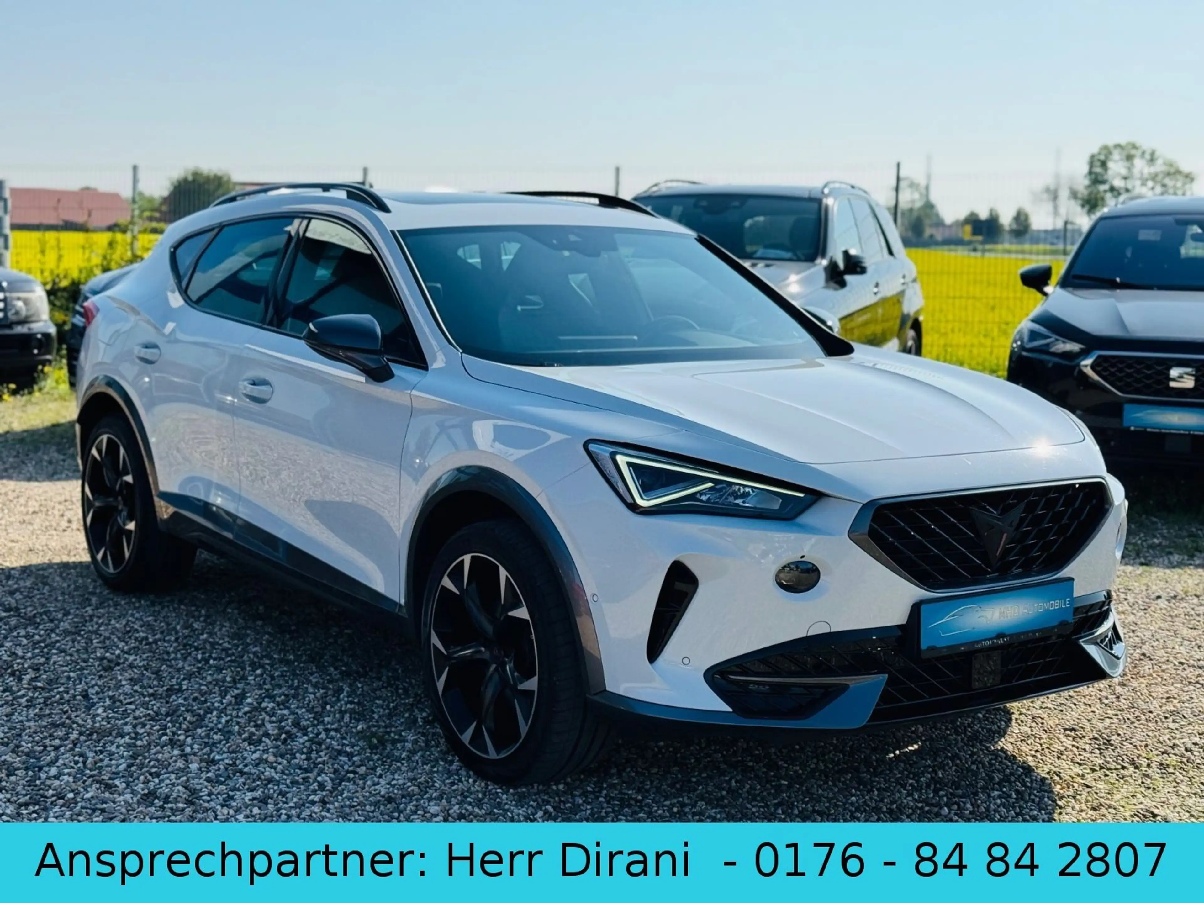 CUPRA Formentor 2.0 TDI *LED*Pano*Kessy*ACC*virtualCoc — photo 3