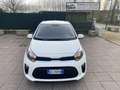 Kia Picanto 1.0 dpi Urban, UNICOPROPRIETARIO, TAGLIANDATA Blanc - thumbnail 2