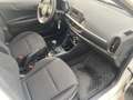 Kia Picanto 1.0 dpi Urban, UNICOPROPRIETARIO, TAGLIANDATA Blanc - thumbnail 10