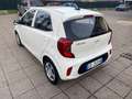 Kia Picanto 1.0 dpi Urban, UNICOPROPRIETARIO, TAGLIANDATA Blanc - thumbnail 4