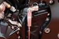 Honda CBR 1000 RR-R SP #Abverkauf #opt.Carbon Negro - thumbnail 22