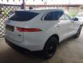 Jaguar F-Pace F-Pace 3.0d tdV6 300 Sport awd 300cv auto my20 Bianco - thumbnail 6