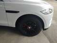 Jaguar F-Pace F-Pace 3.0d tdV6 300 Sport awd 300cv auto my20 Bianco - thumbnail 15