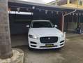 Jaguar F-Pace F-Pace 3.0d tdV6 300 Sport awd 300cv auto my20 Bianco - thumbnail 1