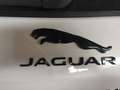 Jaguar F-Pace F-Pace 3.0d tdV6 300 Sport awd 300cv auto my20 Bianco - thumbnail 12