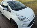 Ford Ka/Ka+ Ka 1,2 Titanium Titanium Klima euro 5 - thumbnail 2
