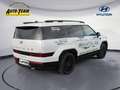 Hyundai SANTA FE 1.6 HEV 4WD Blackline (MX5) Weiß - thumbnail 5
