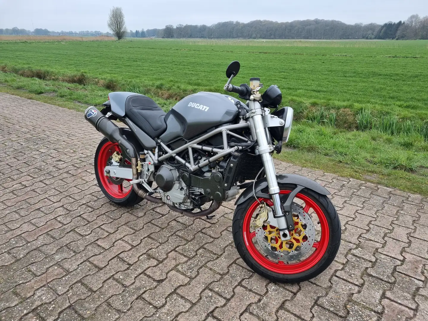 Ducati Monster S4R Senna Grey - 2