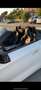BMW Z4 sdrive 20i Msport auto Bianco - thumbnail 3