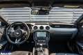 Ford Mustang Mustang Coupe 2.3 ecoboost 317cv - thumbnail 4