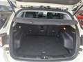 Jeep Compass 1.5 Turbo T4 130 CV MHEV 2WD Summit Bianco - thumbnail 10
