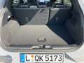 Ford Puma ST-Line X LED+Navi+Kamera+Winterpaket Grau - thumbnail 20