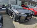 Lexus UX 300e UX 300h F Sport Design Klimaaut., ACC,SpurH, LM Gri - thumbnail 5