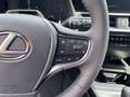 Lexus UX 300e UX 300h F Sport Design Klimaaut., ACC,SpurH, LM Gri - thumbnail 11