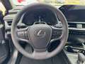 Lexus UX 300e UX 300h F Sport Design Klimaaut., ACC,SpurH, LM Gri - thumbnail 12