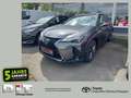 Lexus UX 300e UX 300h F Sport Design Klimaaut., ACC,SpurH, LM Gri - thumbnail 1