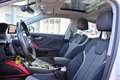 Audi Q2 2.0 tdi Business quattro 150cv s-tronic Blanc - thumbnail 7