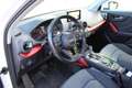 Audi Q2 2.0 tdi Business quattro 150cv s-tronic Blanc - thumbnail 8
