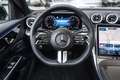 Mercedes-Benz C 300 AMG Line | Panorama-schuifdak | Trekhaak | Stoel v Gris - thumbnail 21