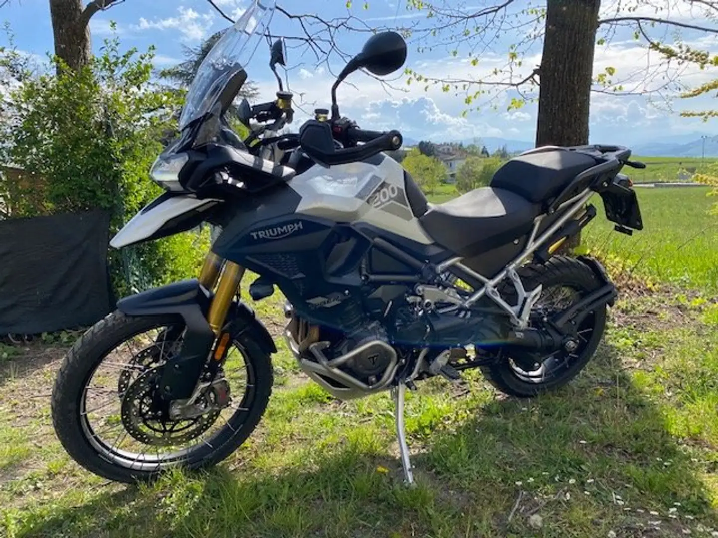 Triumph Tiger 1200 Rally Pro Bianco - 1