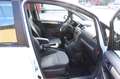 Opel Zafira B Edition Klimaanlage / 7-Sitzer Wit - thumbnail 9