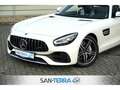 Mercedes-Benz AMG GT ROADSTER PERFORMANCE EXKLUSIV DESIGNO CARBON*COMAN Wit - thumbnail 6