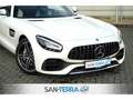 Mercedes-Benz AMG GT ROADSTER PERFORMANCE EXKLUSIV DESIGNO CARBON*COMAN Wit - thumbnail 2