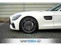 Mercedes-Benz AMG GT ROADSTER PERFORMANCE EXKLUSIV DESIGNO CARBON*COMAN Wit - thumbnail 9