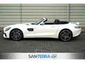 Mercedes-Benz AMG GT ROADSTER PERFORMANCE EXKLUSIV DESIGNO CARBON*COMAN Wit - thumbnail 8