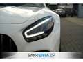 Mercedes-Benz AMG GT ROADSTER PERFORMANCE EXKLUSIV DESIGNO CARBON*COMAN Wit - thumbnail 14