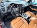 Audi Q5 Q5 2.0 tdi Advanced Plus Quattro 170cv Automatico Marrone - thumbnail 7