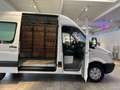 Mercedes-Benz Sprinter 213/313 CDI*Hoch+Lang*L2-H2*Garantie* White - thumbnail 17