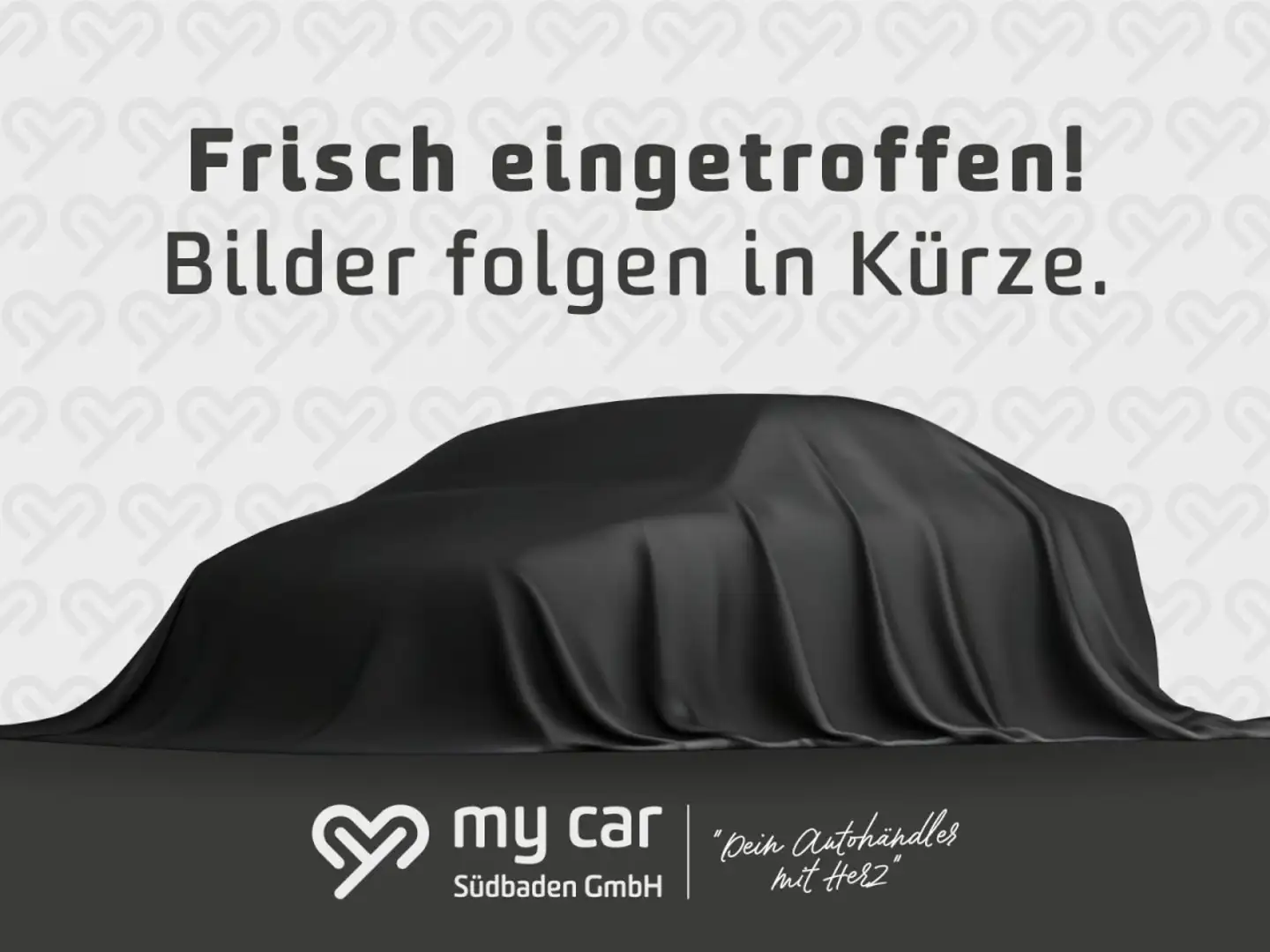 Ford Puma ST-Line / Navi / Rückfahrkamera / Sitzheizung Silber - 1