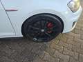 Volkswagen Golf GTI GOLF2.0 TSI PERFORMANCE Weiß - thumbnail 18