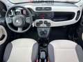 Fiat Panda (4Q) (05/16-) 0.9 TwinAir Nat.Pow.(63Kw)Ber 5p/b- Bianco - thumbnail 12