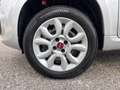 Fiat Panda (4Q) (05/16-) 0.9 TwinAir Nat.Pow.(63Kw)Ber 5p/b- Bianco - thumbnail 8