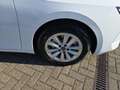 Opel Astra ST Edition Turbo Komfort-Paket LED LenkradHZG SHZ Weiß - thumbnail 19