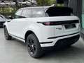 Land Rover Range Rover Evoque 2.0d i4 mhev R-Dynamic awd 150cv auto Wit - thumbnail 7
